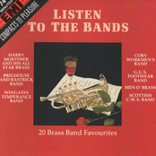 Listen To The Bands