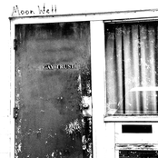 Draped In Frog And Chanting Into The Furls Of A Low Income Apartment