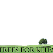 Trees For Kites