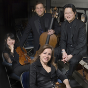 miami string quartet