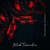 Unrelenting Stillness