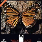 Marron Glacé (Internacional)