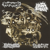 Expurgo / Mata Borrão / Necrose / Subcut