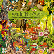 Deep In The Woods: Pastoral Psychedelia And Funky Folk 1968–1975