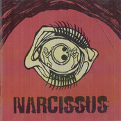 The Commons by Narcissus