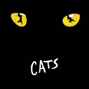 cats (1981 original london cast)