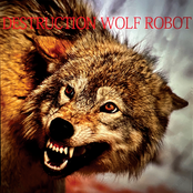 Mindless Eating Machine