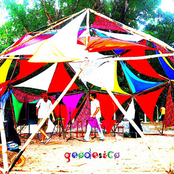 Geodésico