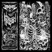 Infected Religion / Fetid Zombie
