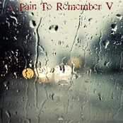 A Pain to Remember V