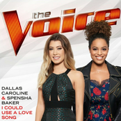 The Complete Season 14 Collection (The Voice Performance)