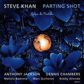 Chronology by Steve Khan