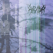 Haexler - Wage, Work