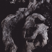 Mnmnts & Withers Split