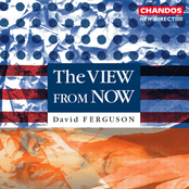Ferguson: The View from Now