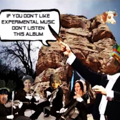 If You Don't Like Experimental Music Don't Listen To This Album