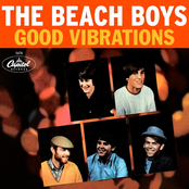 Good Vibrations 40th Anniversary Album Picture