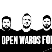 open wards for hero