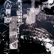 Swimming Behaviour Of The Human Infant