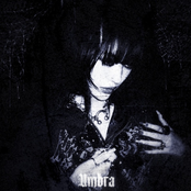 umbra