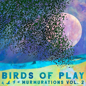 Birds of Play: Murmurations, Vol. 2