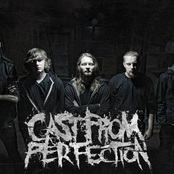 Cast From Perfection