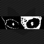 Etched Into Our Skulls