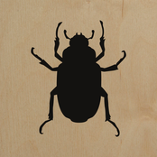 Balloons at your Funeral