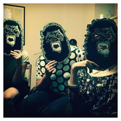 we used to be animals