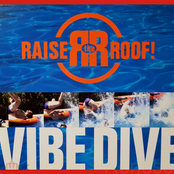 Vibe Dive