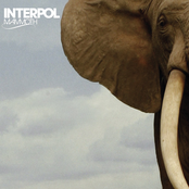 Mammoth (explicit Radio Mix) by Interpol