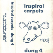 26 by Inspiral Carpets