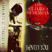 Lovely you