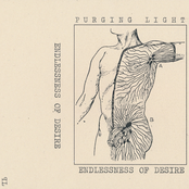 Endlessness of Desire