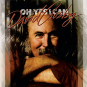 Drop Down Mama by David Crosby