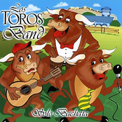 Mi Corazon Lloro by Los Toros Band