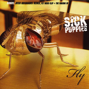 Fly by Sick Puppies