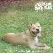 Live From The Fallout Shelter