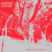 Eye Of The Scared