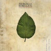 Cause For Alarm by The Boxer Rebellion