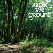 Above The Ground