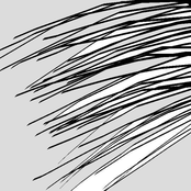 Return to the Summer Room