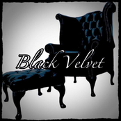 A Stor Mo Chroi by Black Velvet