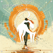 Love Overflow