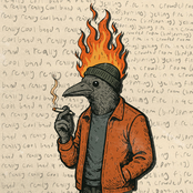 Yelling Fire In A Crowded Room (Birdspotting)