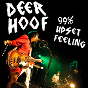 Goin' Up The Country by Deerhoof