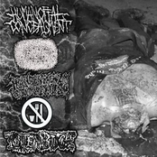 Human Offal Concealment / Varanus Komodoensis / Hyalinobatrachium Colymbiphyllum / Pro Anorexia / Rotten Bitch