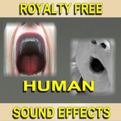 Royalty Free Human, People and Crowd Sound Effects (197 Tracks)
