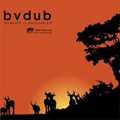 All Traces Vanished by Bvdub