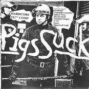 Pigs Suck